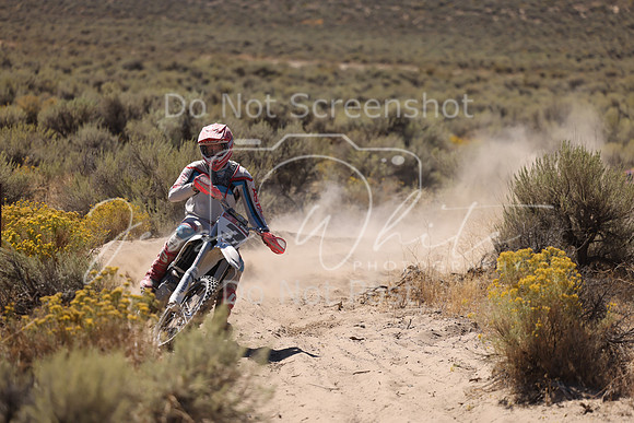 IMG_4151-3t