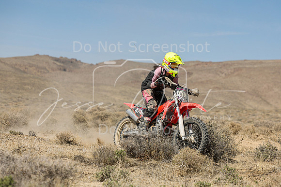 IMG_8244-474w