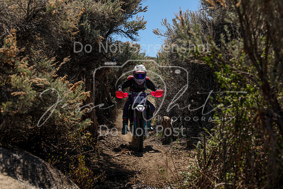 IMG_0556-802v