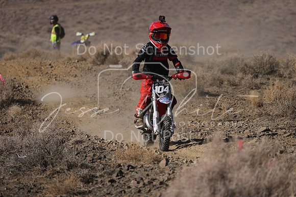 IMG_7509-104z