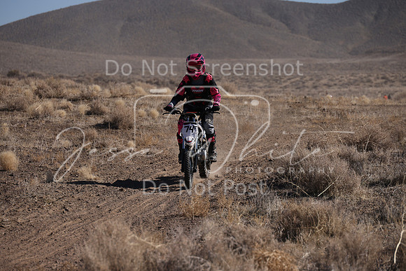 IMG_7224-74f