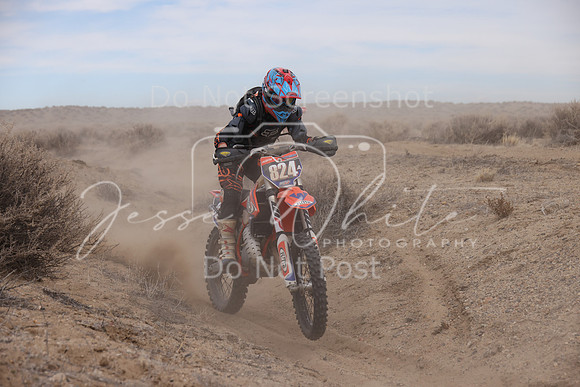 IMG_1314-824a
