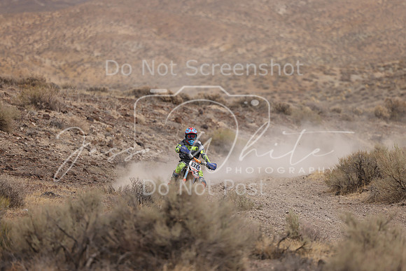 IMG_8876-88j