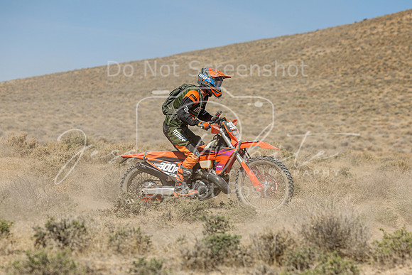 IMG_8225-300p