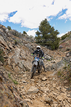 IMG_3696-298