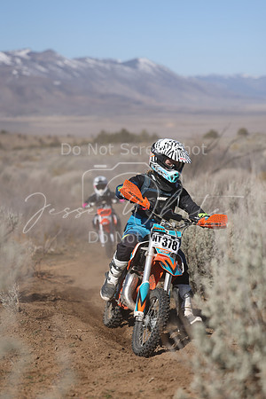 IMG_5669-nt378