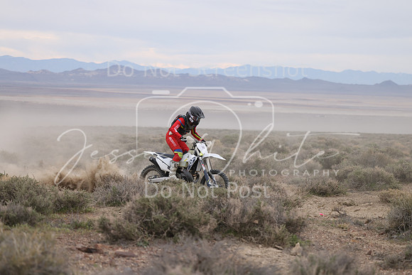 IMG_7753-9b