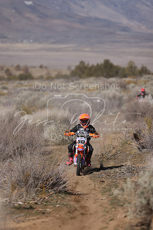 IMG_5643-513