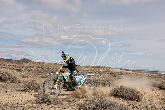 IMG_1731-7a