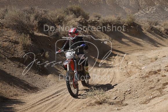 IMG_7212-322v