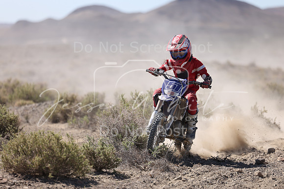 IMG_2335-51y