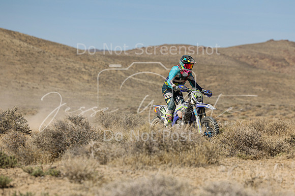 IMG_8241-718w