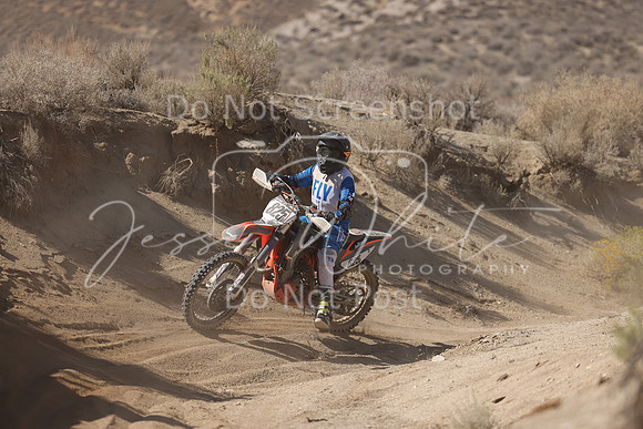 IMG_7158-825v