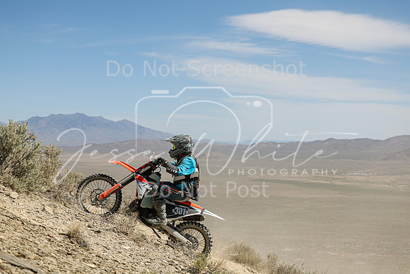 IMG_3391-n301r