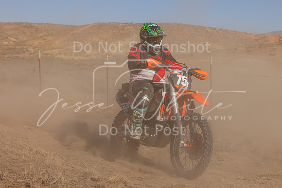 IMG_2938-75t