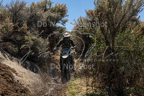 IMG_0508-478v