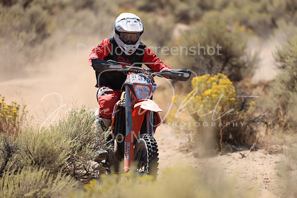 IMG_1478-nt375
