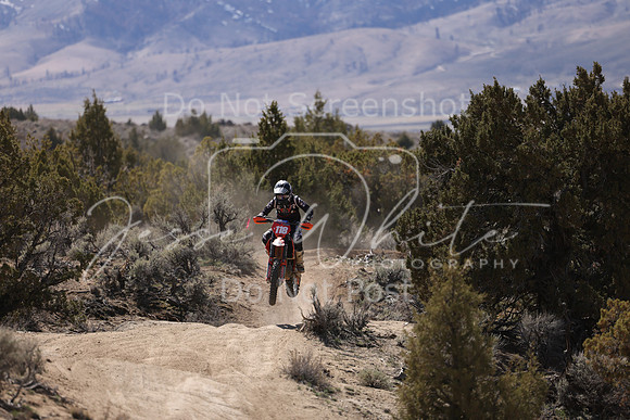 IMG_0941-x118