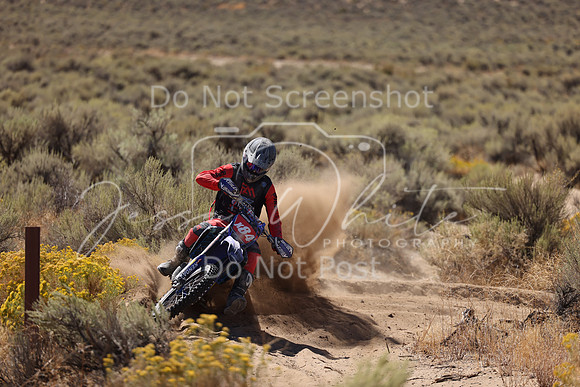 IMG_1389-x84