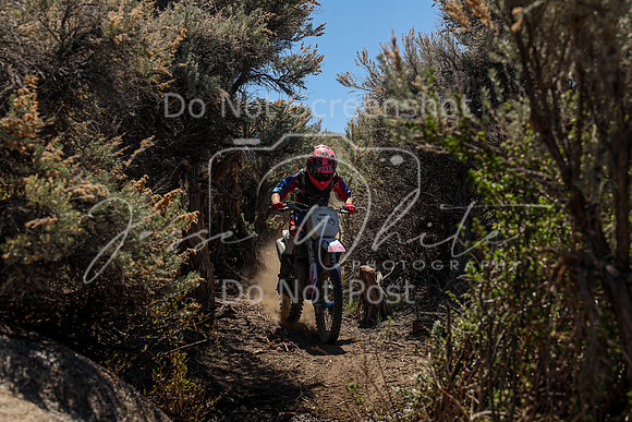 IMG_0522-608j