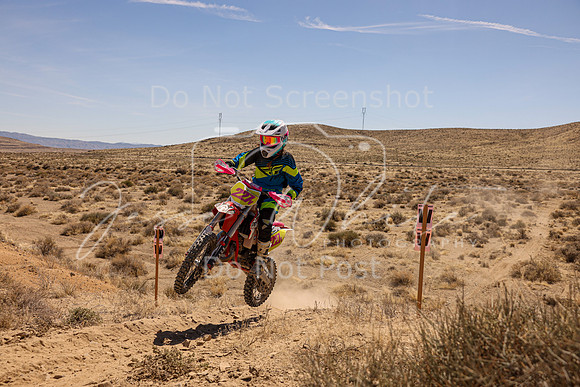 IMG_1093-227v