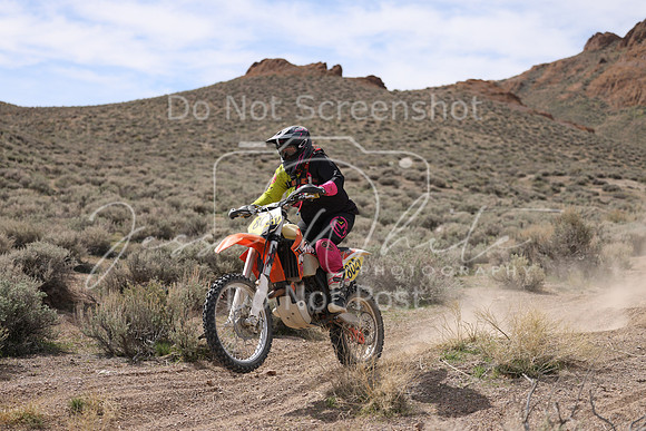 IMG_6449-802v