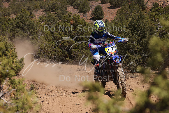 IMG_5391-t7