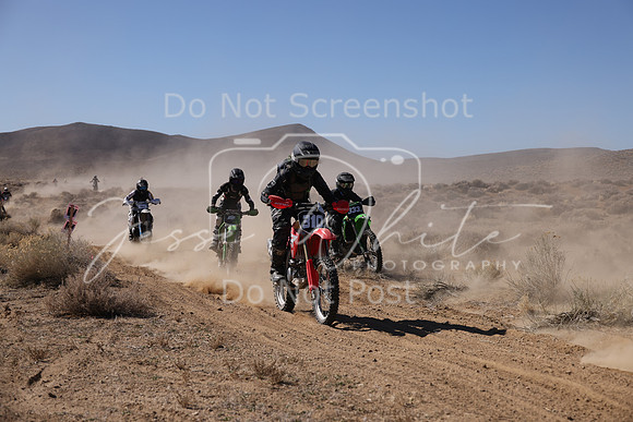IMG_8807-310j-333j