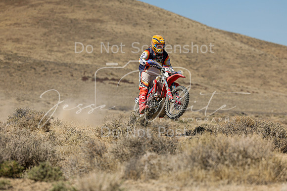 IMG_7999-69n