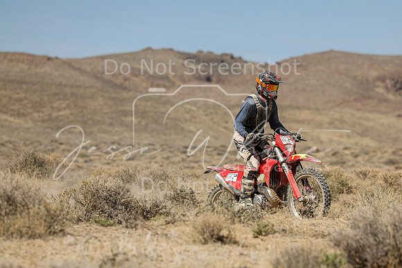 IMG_8181-18n