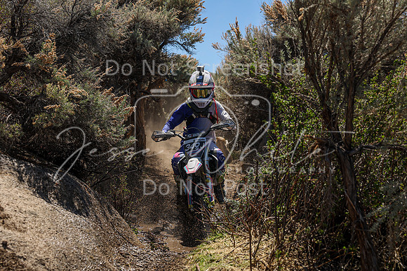 IMG_0477-349j