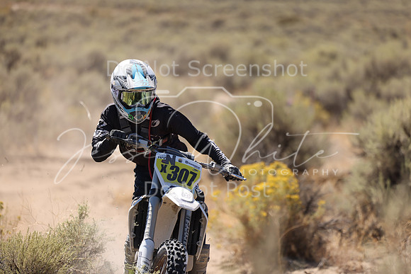 IMG_1537-n307