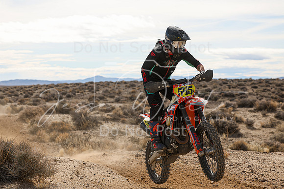 IMG_2934-545p