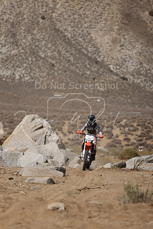 IMG_7294-511v