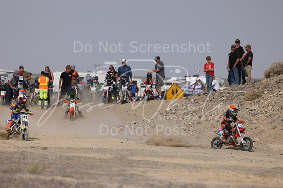 IMG_8213-928-313
