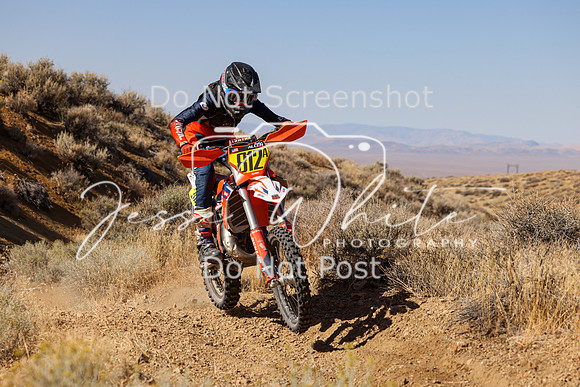 IMG_9631-812a
