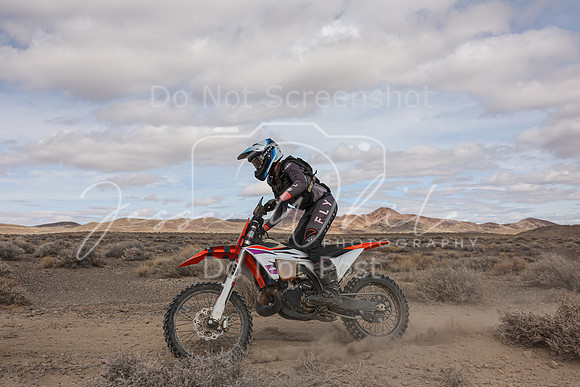 IMG_1984-95a