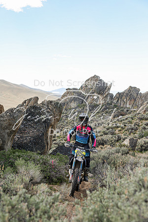 IMG_8842-85n