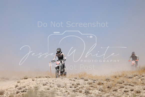 IMG_0730-x199