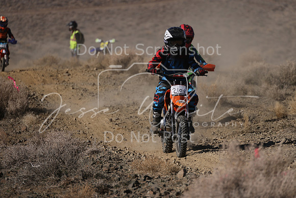 IMG_7494-210y