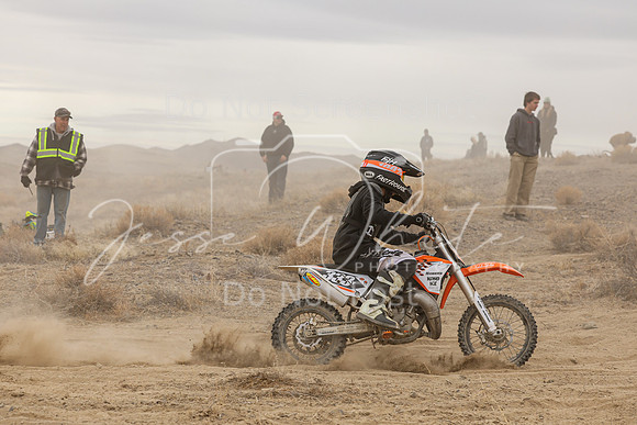 IMG_0343-333y