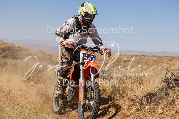IMG_9598-195m