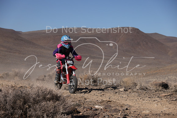 IMG_7475-802