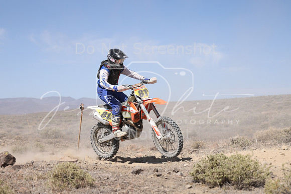 IMG_3772-81n