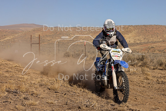 IMG_2948-723w