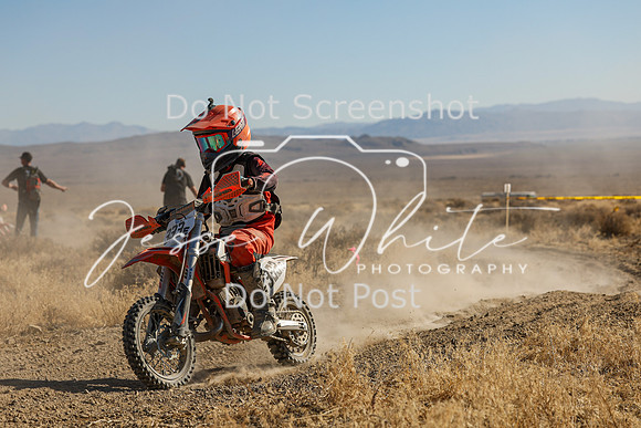 IMG_0202-333e