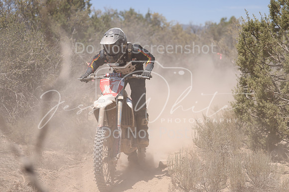 IMG_8193-x1