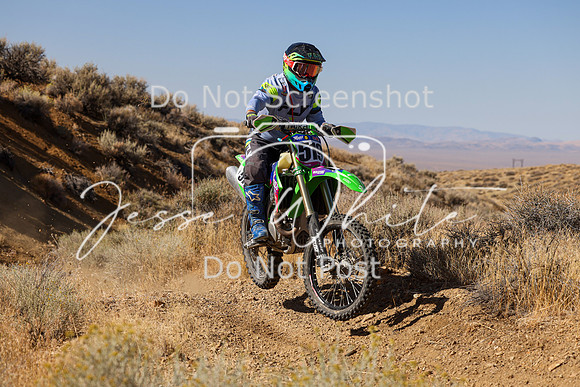 IMG_9561-519t