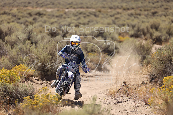 IMG_1661-nt386