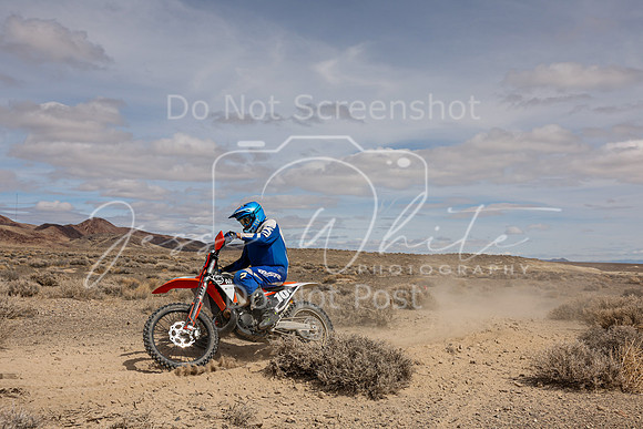 IMG_1900-60a